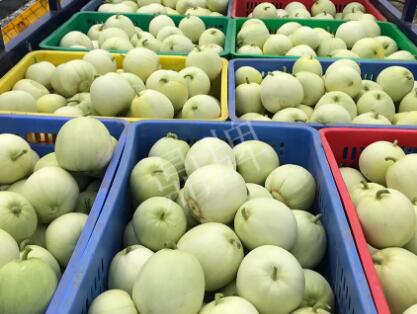 蔬菜種子種植戶客戶點(diǎn)評(píng)-5元1斤，這個(gè)新品種真香甜！