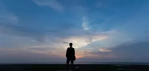 雇工難、成本高，想種甜瓜怎么辦？