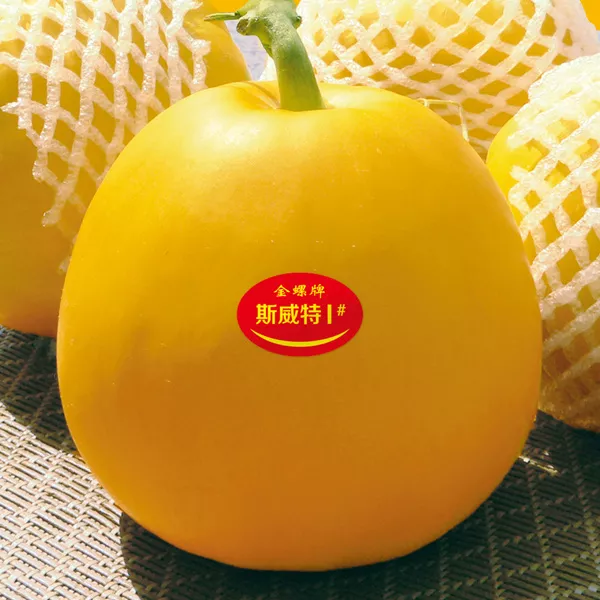 薄皮甜瓜，哪個品種最好呢？畝產(chǎn)高達10萬，附4種市場爆款品種