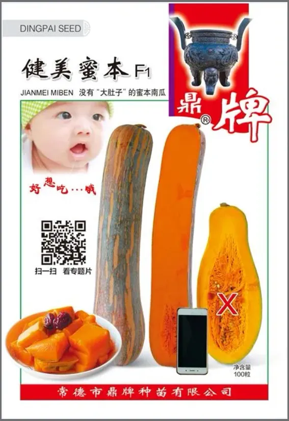 3元1斤的健美蜜本南瓜快成熟了，緬甸種植戶發(fā)來圖片與視頻