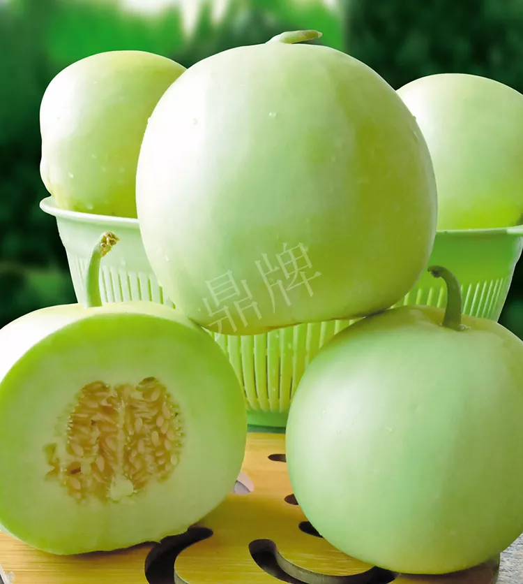 7元一斤還遭瘋搶，畝收益超2萬元！到底什么甜瓜能這么牛？