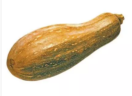 知道最甜最面的南瓜品種嗎？盤(pán)點(diǎn)十種有營(yíng)養(yǎng)的甜面南瓜...