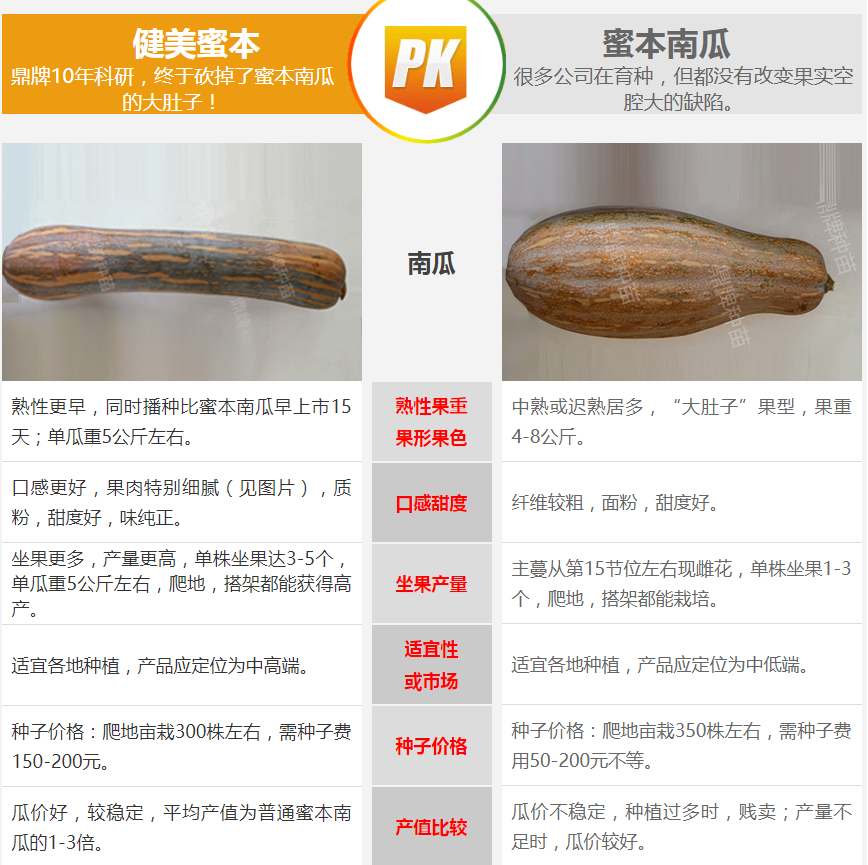 生吃都好吃南瓜新品種，沒(méi)有大肚子，肉質(zhì)更密致，農(nóng)戶試種下