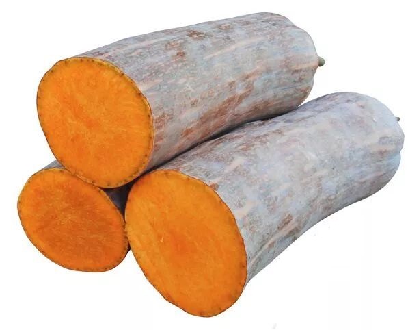 生吃都好吃南瓜新品種，沒(méi)有大肚子，肉質(zhì)更密致，農(nóng)戶試種下