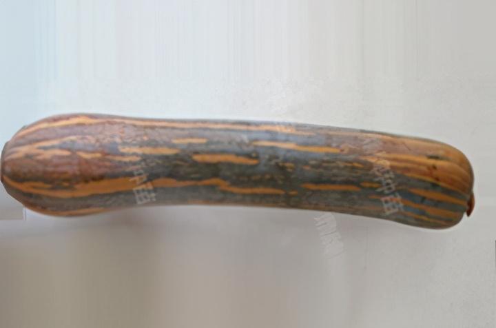 2020年，市面上的南瓜品種哪個口感最好、最甜、最值得種植？