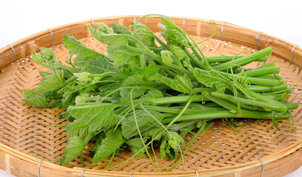 種這種綠葉菜，栽培輕松，畝產(chǎn)值過萬元，菜農(nóng)表示很劃算