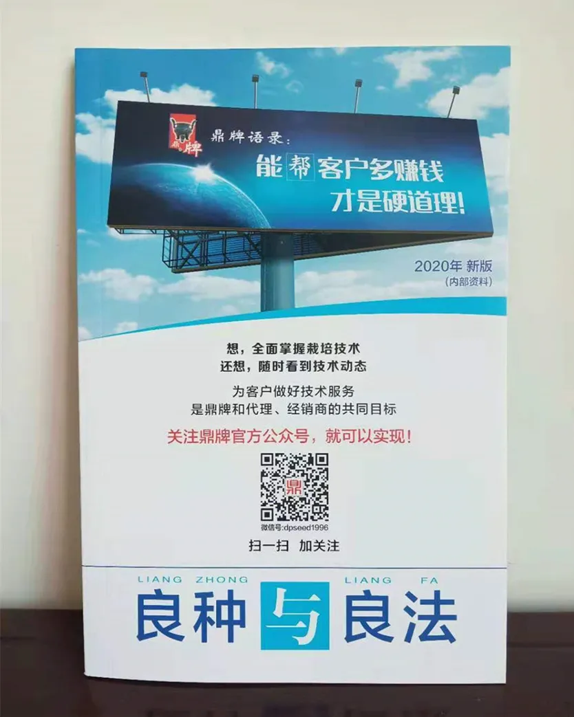 河南焦作的李向林今年種植甜瓜新品種，客戶直接拉貨走人