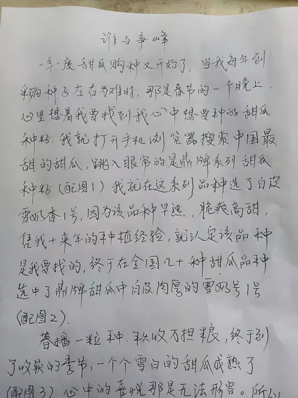 河南焦作的李向林今年種植甜瓜新品種，客戶直接拉貨走人