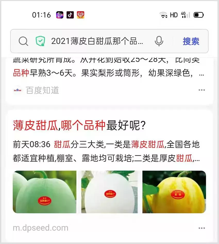 河南焦作的李向林今年種植甜瓜新品種，客戶直接拉貨走人