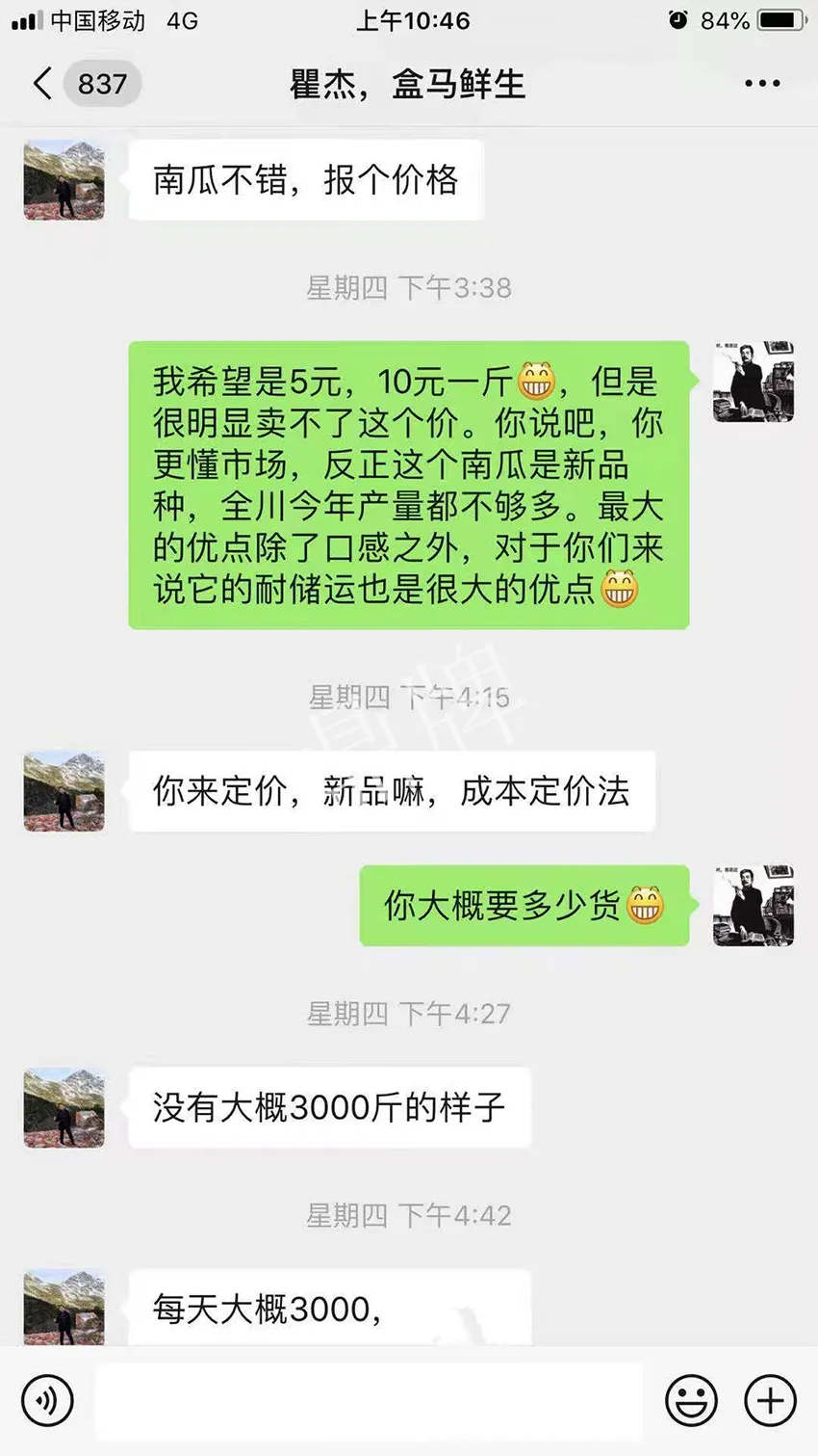 四川農(nóng)戶今年種“健美蜜本”南瓜產(chǎn)量高，品質(zhì)好，感覺(jué)巴適得很