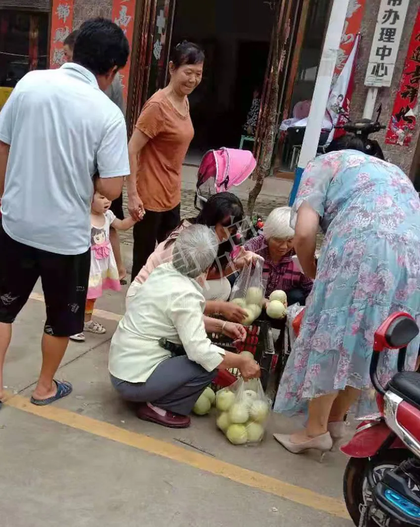 其他品種的甜瓜2塊1斤都賣不動(dòng)，我的玉奶香2號(hào)甜瓜2塊5直接搶