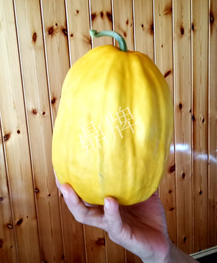 婁底瓜農(nóng)純賺50萬，我這個(gè)“張大膽”榮光了一把