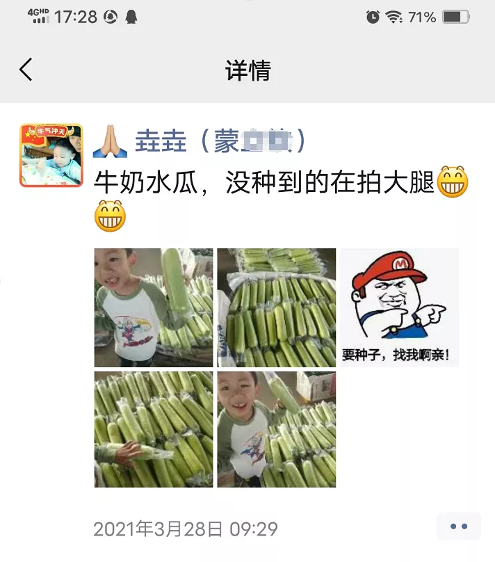 這個絲瓜每畝能掙3萬，沒種植的農(nóng)戶后悔得拍大腿