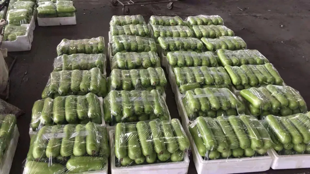 這個(gè)品種上市早，價(jià)格好！我連續(xù)種了三年，滿(mǎn)意