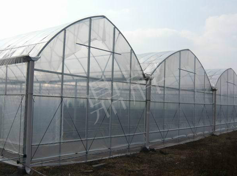 蔬菜種子種植戶客戶點(diǎn)評(píng)-鼎牌瓠瓜上市早，地頭批發(fā)價(jià)達(dá)到8元/斤，種植基地王老板告訴您！