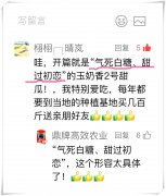 蔬菜種子種植戶客戶點(diǎn)評(píng)-“氣死白糖，甜過初戀”，您知道或體驗(yàn)過這句話嗎